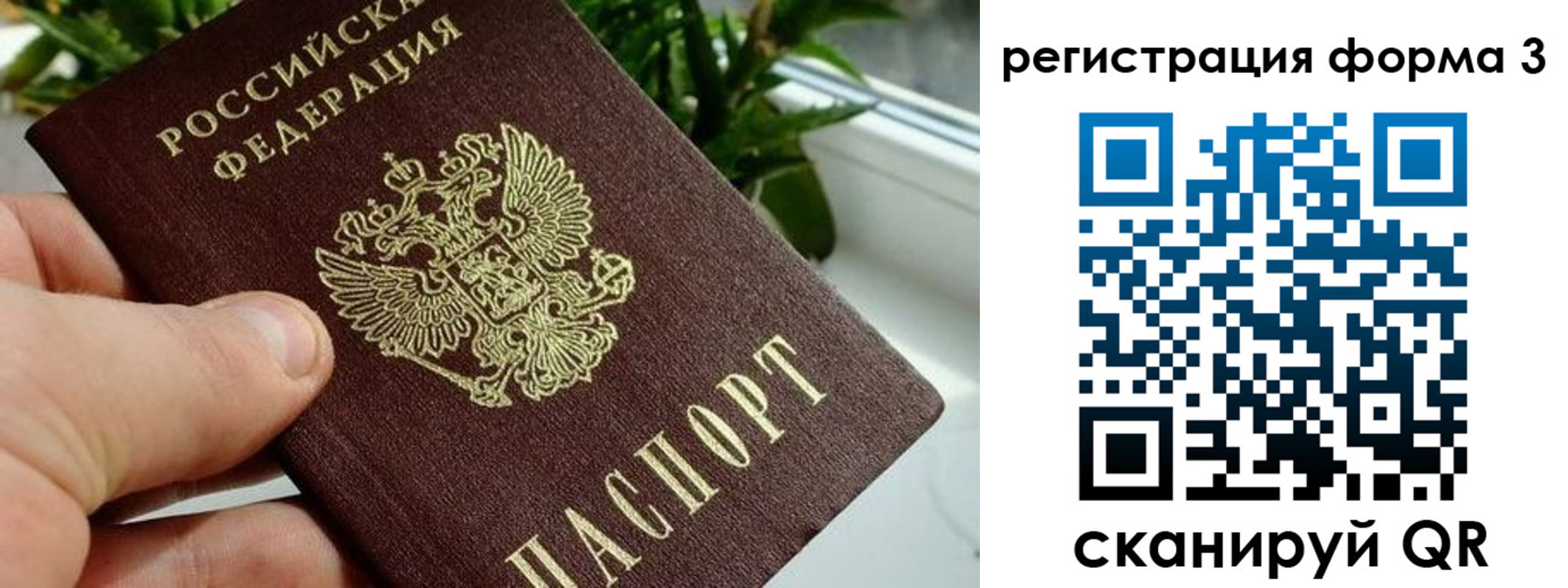 прописка штамп в Козельске
